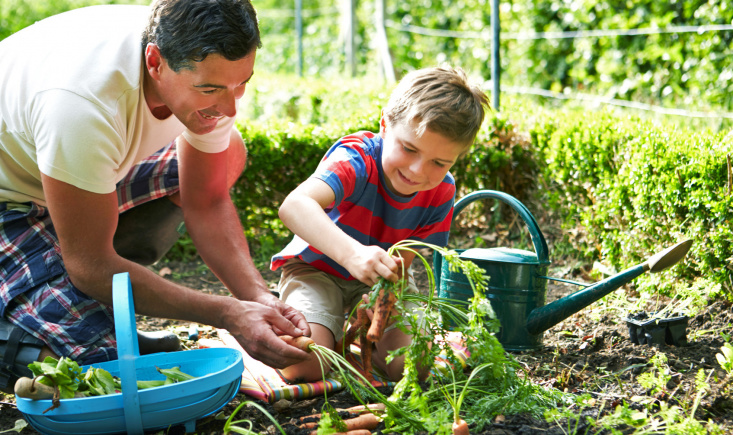 Как привлечь детей к работе в саду?