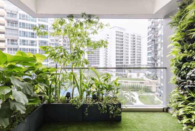 Что учесть при озеленении балкона?